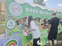 贵州抹茶：从展会热销到全球飘喷鼻